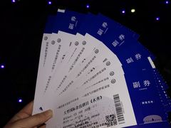 -水秀国际大剧院