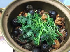 -食爺炭炉鸡煲·烧烤