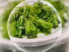 -陶然居·重庆菜(两江会馆店)