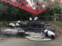 -都江堰中华大熊猫苑