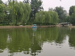 -团结湖公园