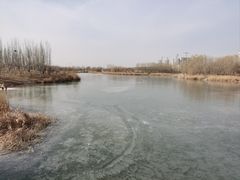 -马家湾湿地公园