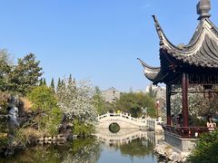 -梅园