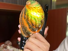 -青岛贝壳博物馆