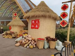 -中国天府农业博览园