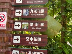 -西双版纳原始森林公园
