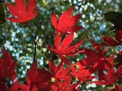 -溪口-滕头旅游景区