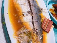 清蒸鲥鱼-金枝玉叶上海人家食府(三里河店)