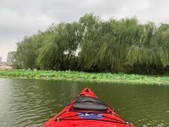-WhaleSports户外水上运动俱乐部(朝阳公园店)