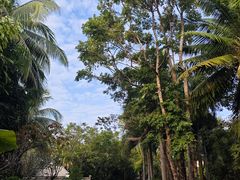 -海南清水湾莱佛士酒店