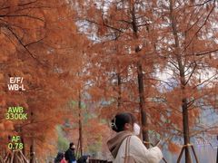 -重庆彩云湖湿地公园