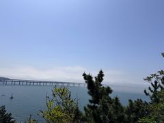 -星海湾跨海大桥