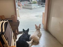 -via coffee(万象城店)