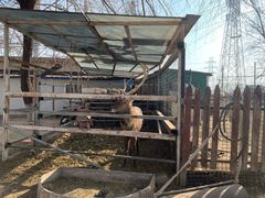 -蓝地时尚庄园(北京清河营地铁站店)