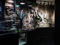 -帕帕拉兹宠物(亚洲旗舰店)