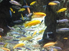 -太平洋海底世界