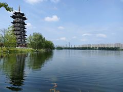 -洋湖国家湿地公园