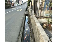 -成都濑川外国语学校