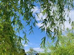 -黑龙潭公园