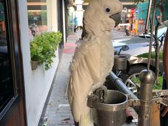 -卤儿道道(经纬店)