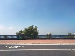 -合肥滨湖国家森林公园