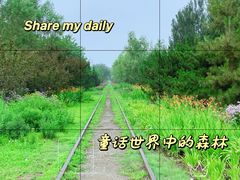 -永定河休闲森林公园