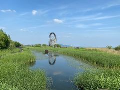 -太湖湖滨国家湿地公园-停车场