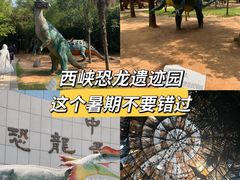 -中国西峡恐龙遗迹园