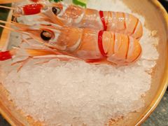 -牛New寿喜烧(闵行龙湖天街店)