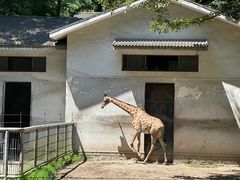 -杭州动物园