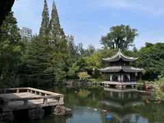 -水绘园