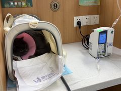 -联合动物医院(光谷诊疗中心)