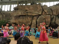 -杭州开元森泊度假乐园