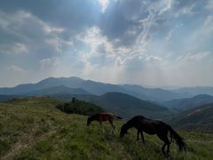 -灵山