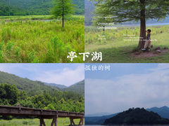 -蒋氏故居