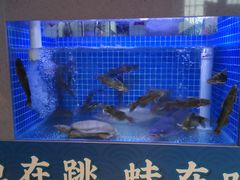 水产区-呷湘厨·鱼汤捞饭·剁椒鱼头·辣椒炒肉(国家会展中心店)