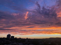 -达美乐比萨(武定店)