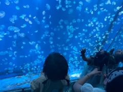 -江和美海洋公园