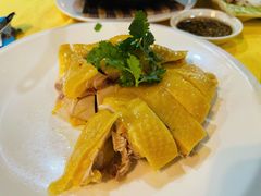 -新高记·粤菜·湛江鸡(南头古城店)