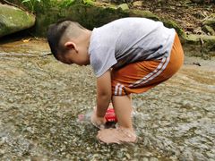 -火炉山森林公园