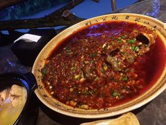 -青城甲(青城山店)