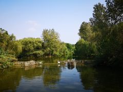 -溱湖国家湿地公园