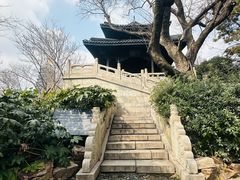 -红梅公园