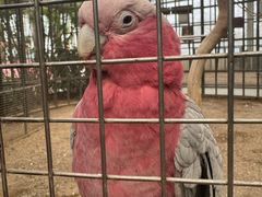 -南宫五洲植物乐园