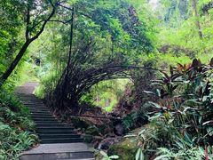 -广州市白云山风景名胜区