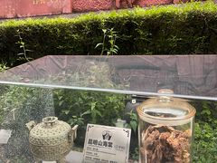 -广州神农草堂中医药博物馆