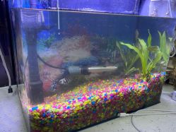 -ONE·男士国潮·美式渐变·理发馆·BARBER SHOP