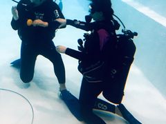 -上海潜殿潜水中心