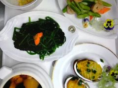 -伊丽莎白妇科医院·早孕检查