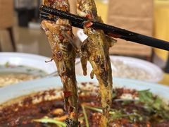 -胖大姐黄辣丁鱼庄(新津店)